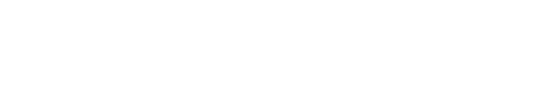BlueTurtle | Branding Solutions